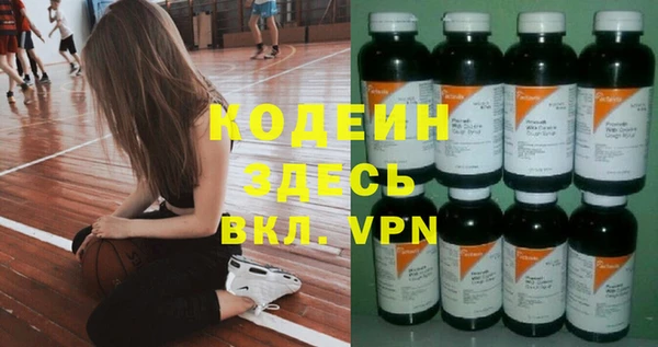 молекула духа Арсеньев
