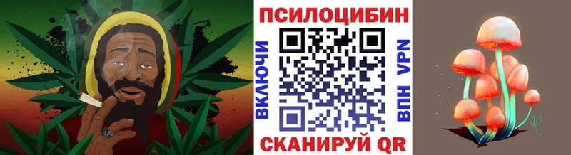 Псилоцибиновые грибы прущие грибы  гидра ТОР  Таруса 